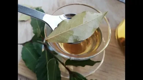 Vitalmobilitypath - liikuntaopas